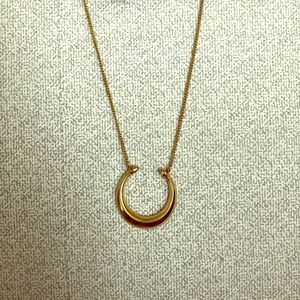 Stella & Dot Double Horn Pendant